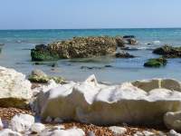 Chalk Beach at Samphire Hoe